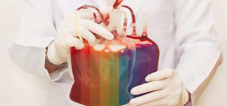 Decisão Histórica: STF derruba restrição de Doação de Sangue LGBTQI+